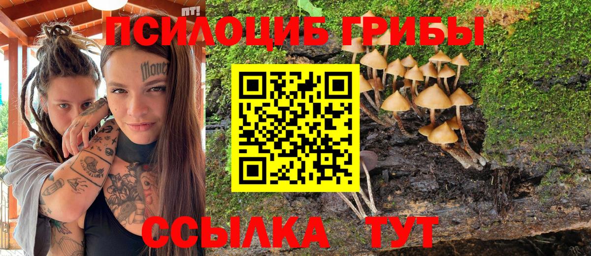 Галлюциногенные грибы мицелий Сызрань