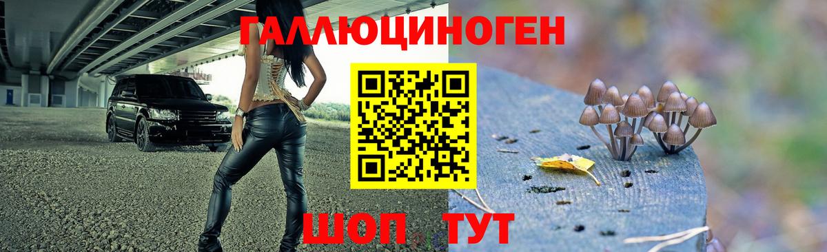 Галлюциногенные грибы MAGIC MUSHROOMS  Галлюциногенные грибы Cubensis  Сызрань  Вход с VPN 
